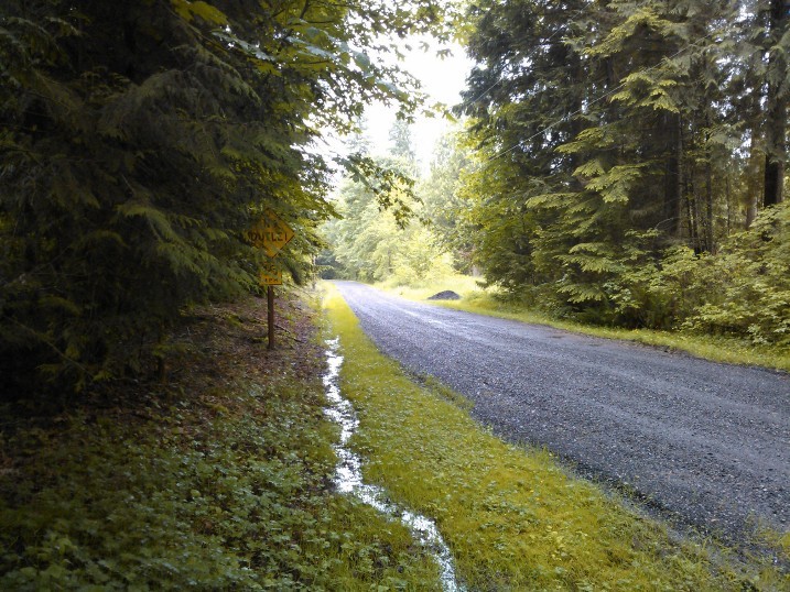 Looking south, the private road extends several tens of meters.