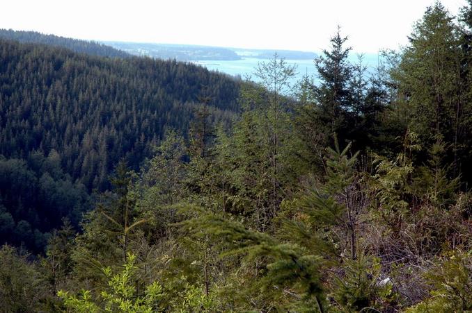 Looking at Sequim Bay from a vista point 450 meters from the CP