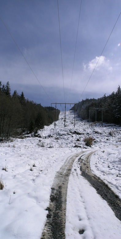 I walked up the power line road until I got to the confluence altitude