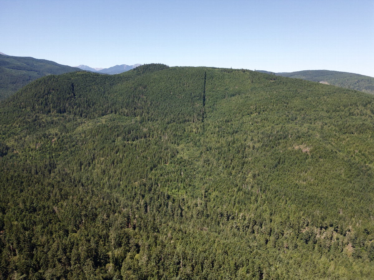 View West, from 120m above the point