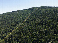 #9: View East, from 120m above the point