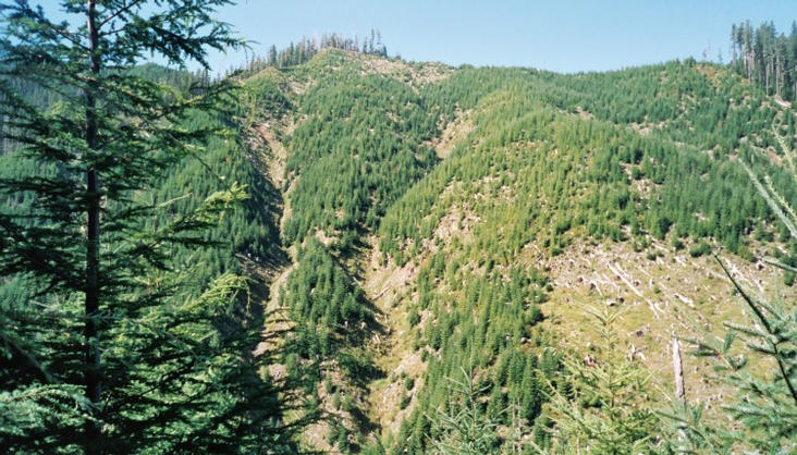 Confluence point facing west