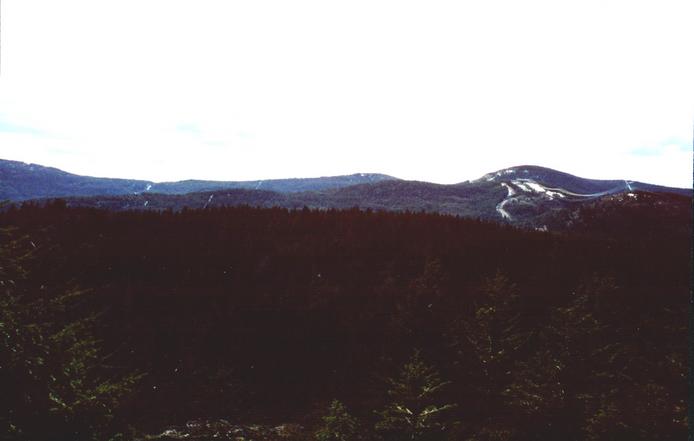 boundary cut line on left and powerline road on right