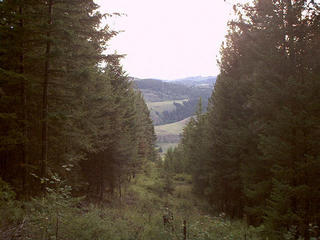 #1: View west from the confluence along the border