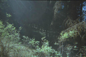 #1: Looking south from the confluence