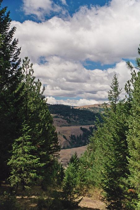 West from confluence along border cutline