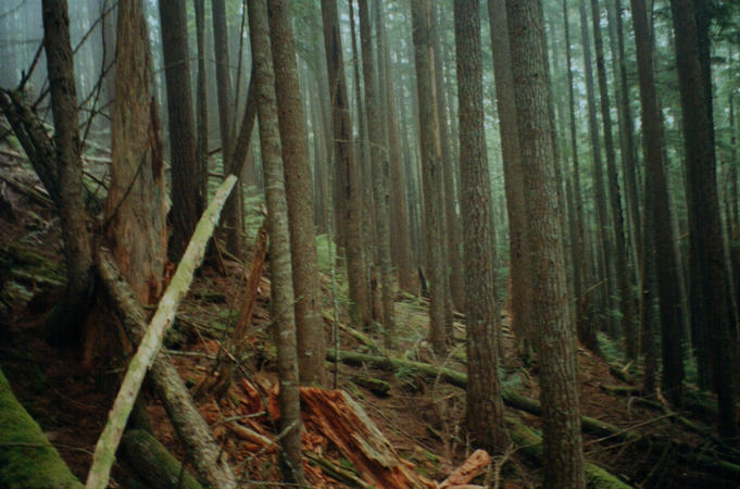 Typical View along our route.  Note the steepness.