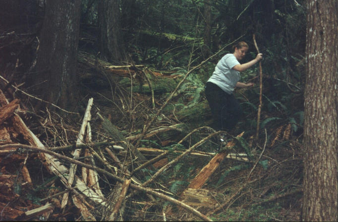 Lots of debris makes for slow going