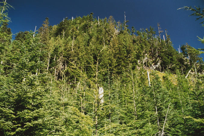 NorthEast from the confluence, looking up the cliff