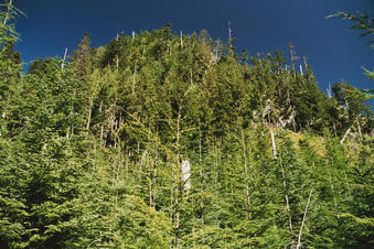 #1: NorthEast from the confluence, looking up the cliff