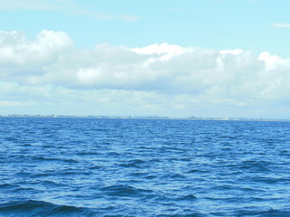 #1: At the confluence, looking north across the boarder to Delta, BC