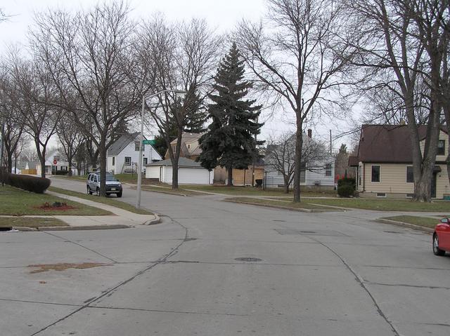 View to the north from the confluence.