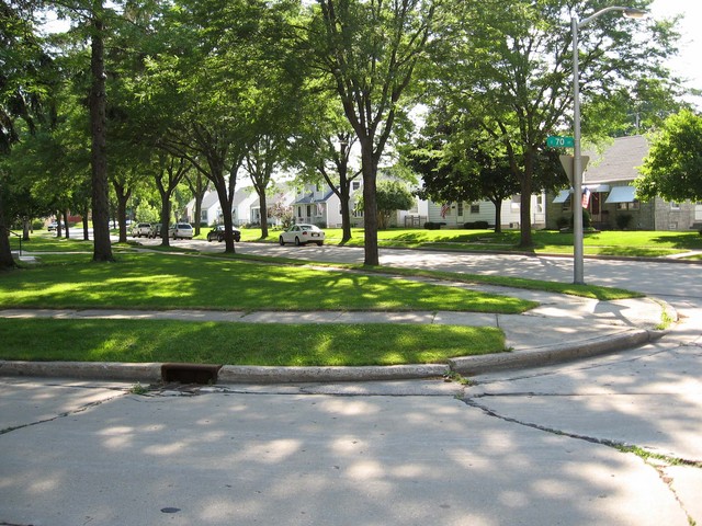 Looking west toward W. Dreyer Pl.