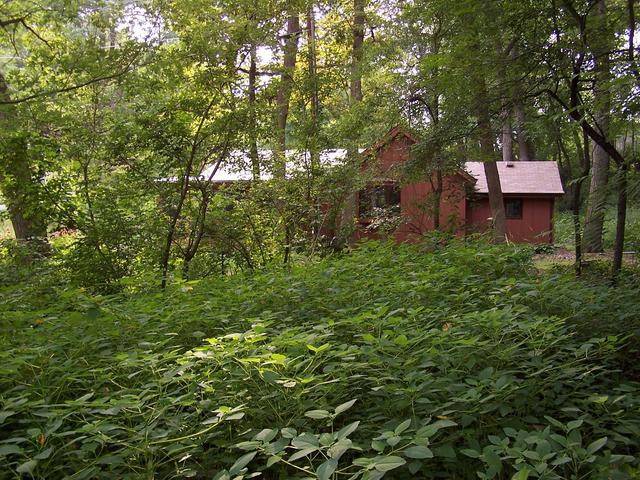 The view to the West from near the confluence.