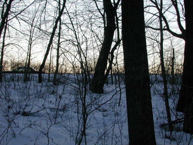 The view west.  We're not far off the gravel road at all.