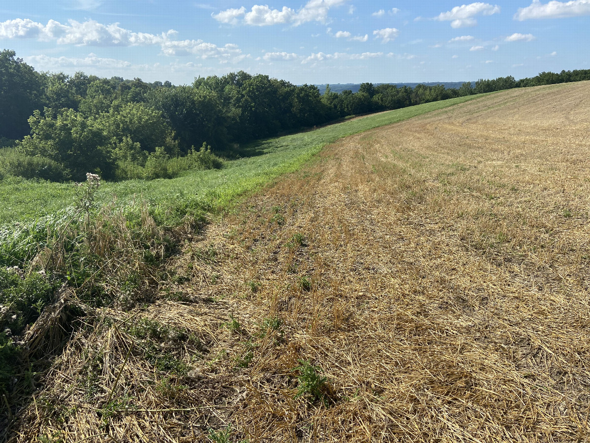 Big view approaching confluence from ridge, looking north-northwest; the confluence lies in the trees to the left, down the slope.