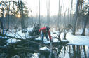 #6: I make my return west across our favorite fallen-log crossing spanning Cedar Creek.