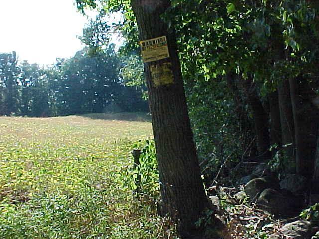 Looking west to the confluence