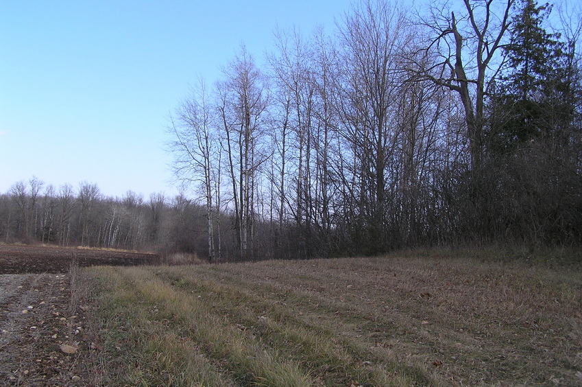 View from the north, looking east-southeast toward the confluence.