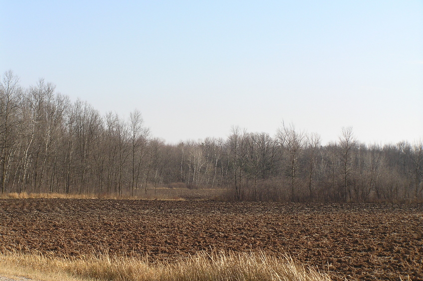 View from the north, looking toward the marsh to the southeast where the confluence lies.