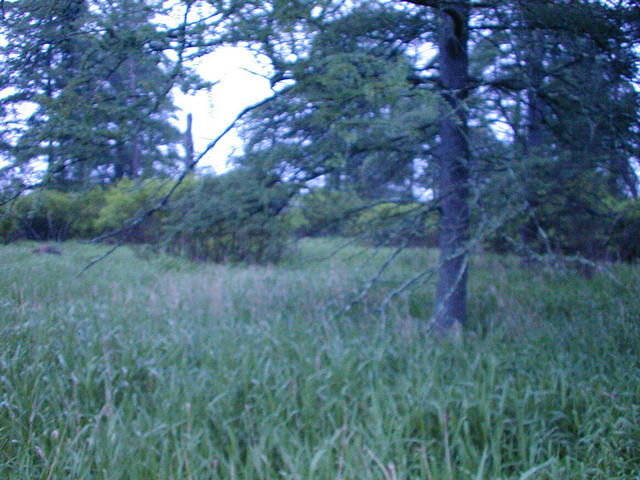 One of the clearer photos of the confluence area, facing northeast.