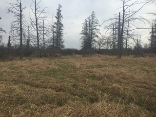 #1: Site of 44 North 89 West, in foreground, looking northeast. 