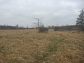 #5: View to the west from the confluence. 