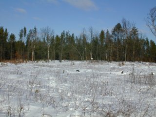 #1: Looking north.  In this view the low, thorny scrub is especially evident.