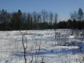 #2: Looking east.  Trees of the nearby wooded area on the right (south) cast their long winter shadows.