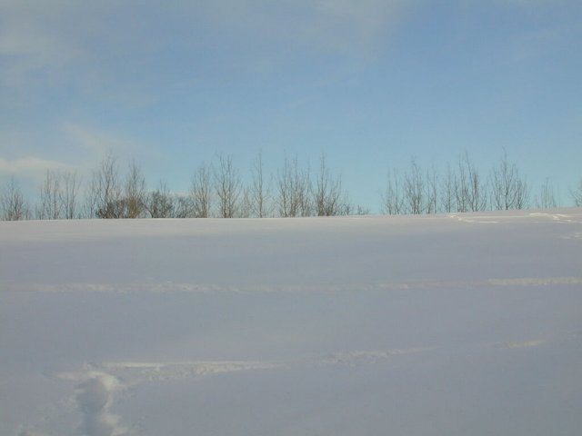 Northerly view from the confluence.  The north treeline treetops peek out over the hill.