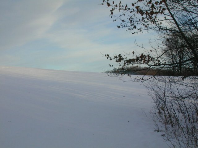 Looking east from the confluence.