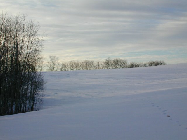 View west from the confluence.  The sun low in the southwest lights the clouds.