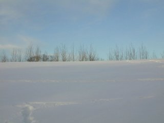 #1: Northerly view from the confluence.  The north treeline treetops peek out over the hill.