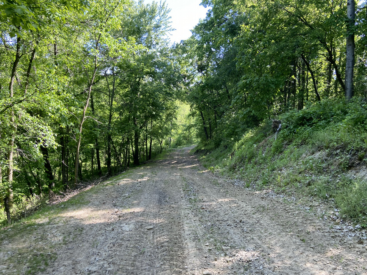 The access trail from the south to the confluence point, looking south or downslope.