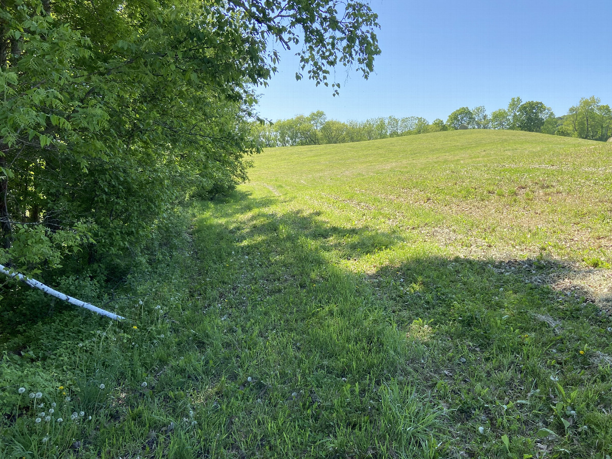 The view to the west from the confluence point.