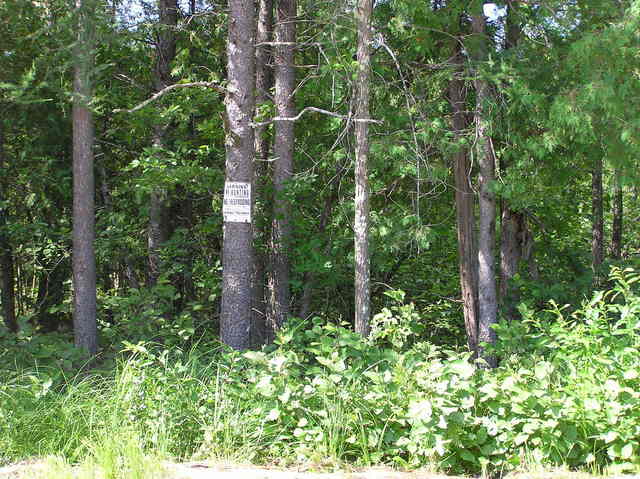 View North (the confluence point isn't this way, so no need to trespass here)