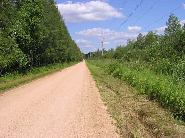 View East (along Park Avenue)