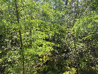 #3: The view to the east from the confluence point.