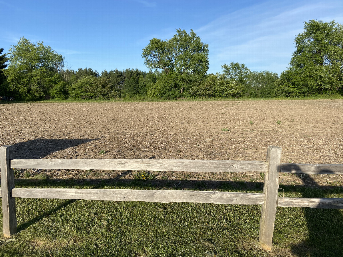 The view to the east from the confluence point.