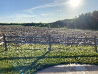 #5: The view to the west from the confluence point.