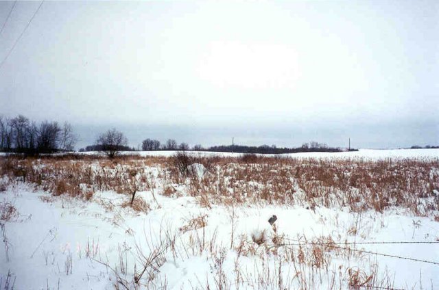 The confluence point, about 5 feet across the fenceline.