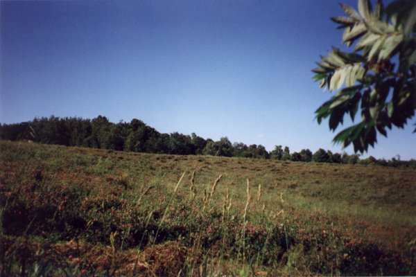 Looking north at the confluence.