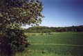 #4: Looking south over the test plot.