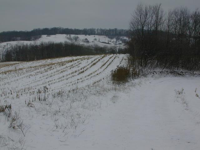 On the confluence, looking back toward the west.