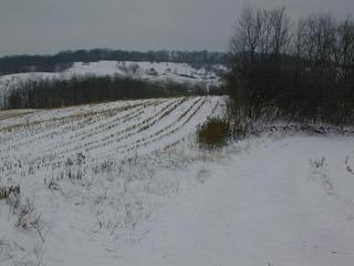 #1: On the confluence, looking back toward the west.