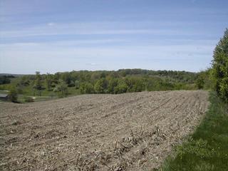 #1: General area facing West, facing the way I walked in