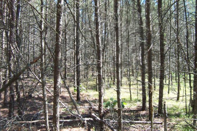 A view of the confluence point