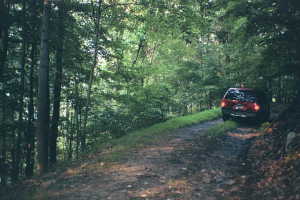 #1: The narrow dirt road running just to the south of the confluence