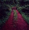 #6: My bike was stopped by this mud hole on the stone access trail forcing a 2.5 mile hike.