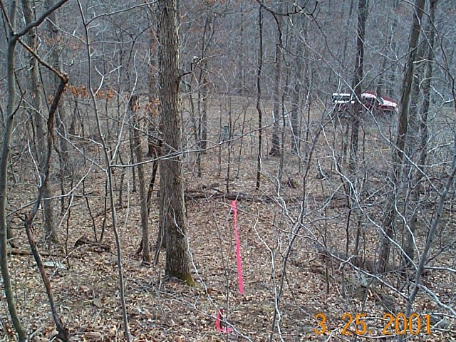 From N39-W81 looking down 40% slope toward tributary of Trace Fork.